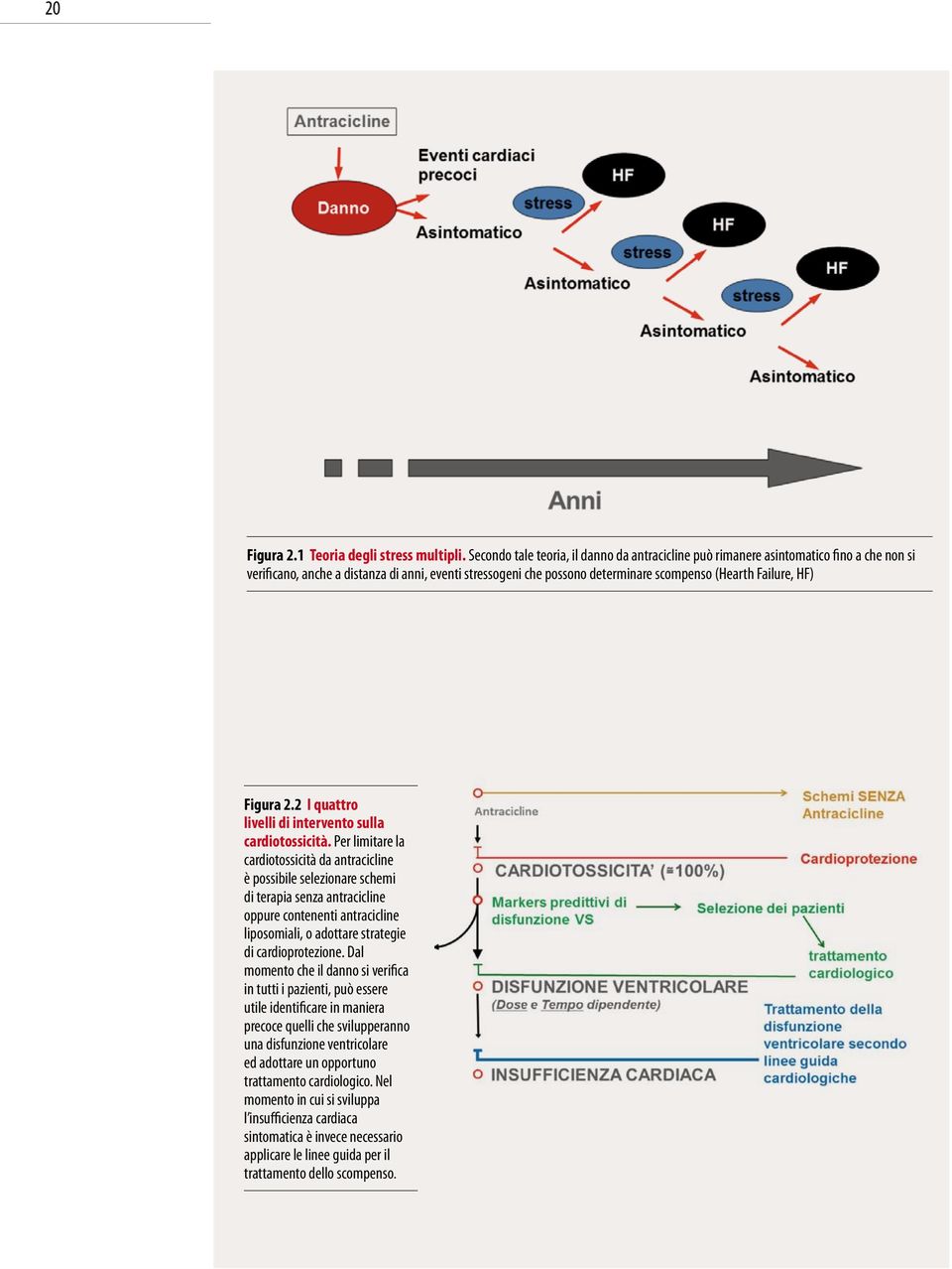 HF) Figura 2.2 I quattro livelli di intervento sulla cardiotossicità.