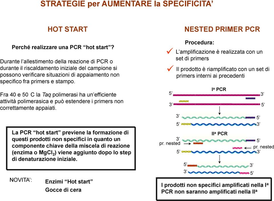 Fra 40 e 50 C la Taq polimerasi ha un efficiente attività polimerasica e può estendere i primers non correttamente appaiati.