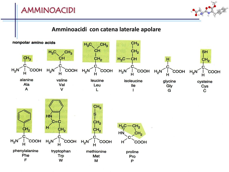 ACIDS Amminoacidi