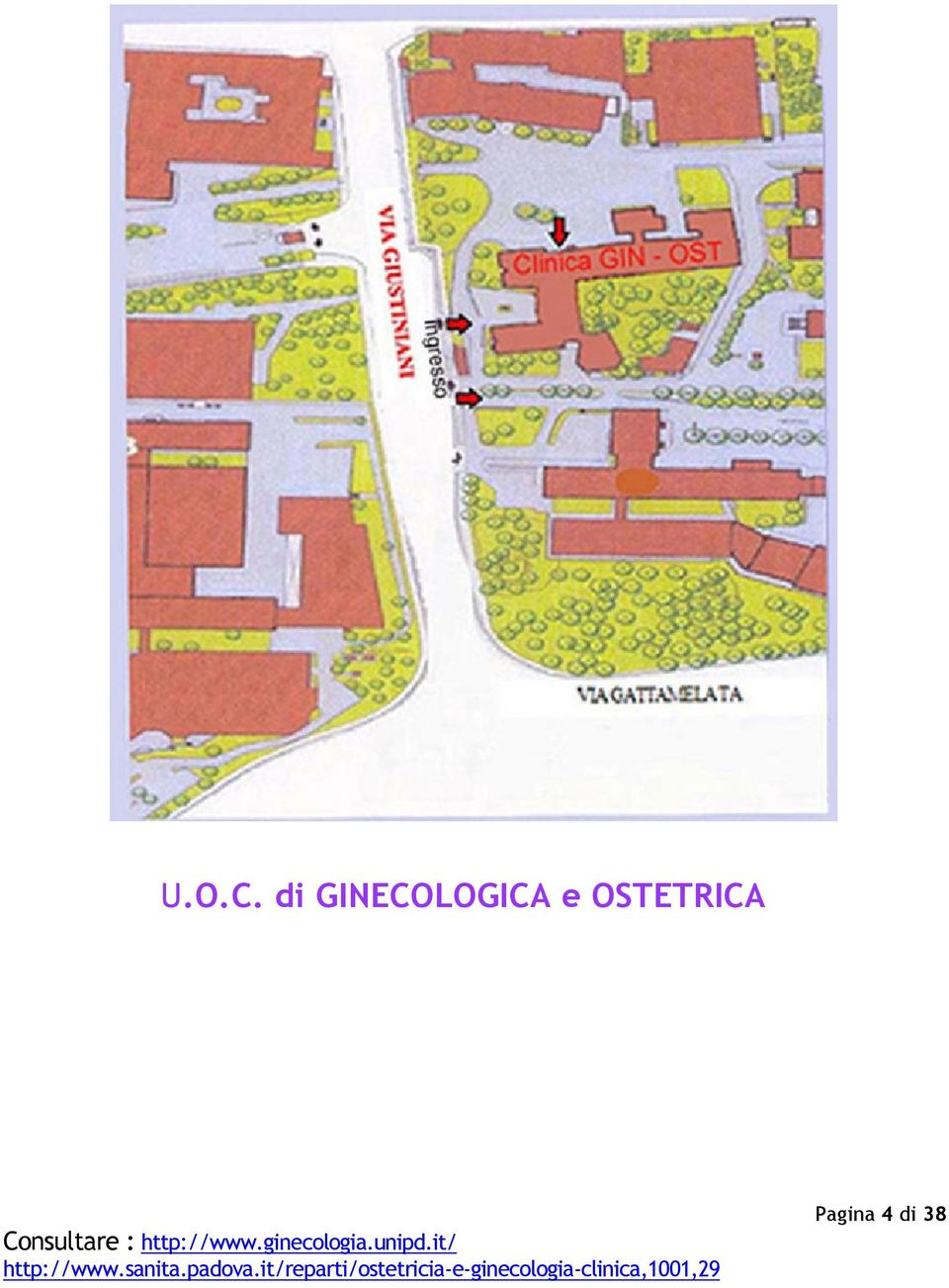 http://www.ginecologia.unipd.