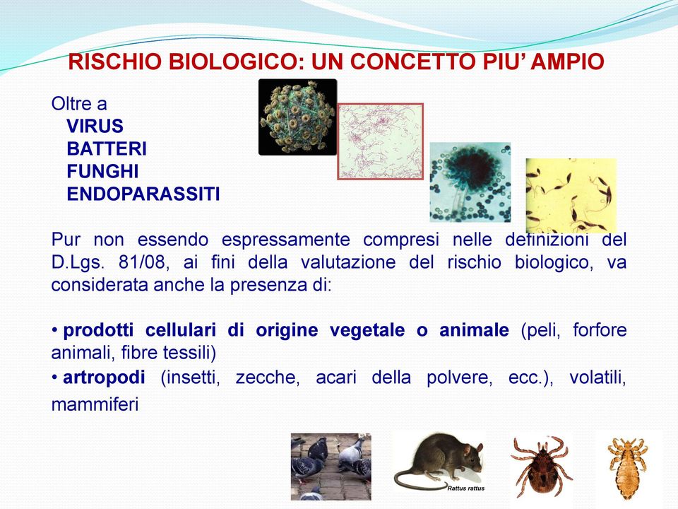 81/08, ai fini della valutazione del rischio biologico, va considerata anche la presenza di: prodotti