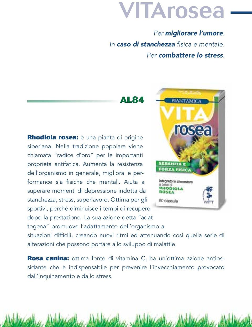 Aiuta a superare momenti di depressione indotta da stanchezza, stress, superlavoro. Ottima per gli sportivi, perché diminuisce i tempi di recupero dopo la prestazione.