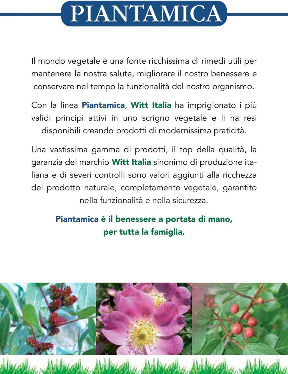 Con la linea Piantamica, Witt Italia ha imprigionato i più validi principi attivi in uno scrigno vegetale e li ha resi disponibili creando prodotti di modernissima praticità.