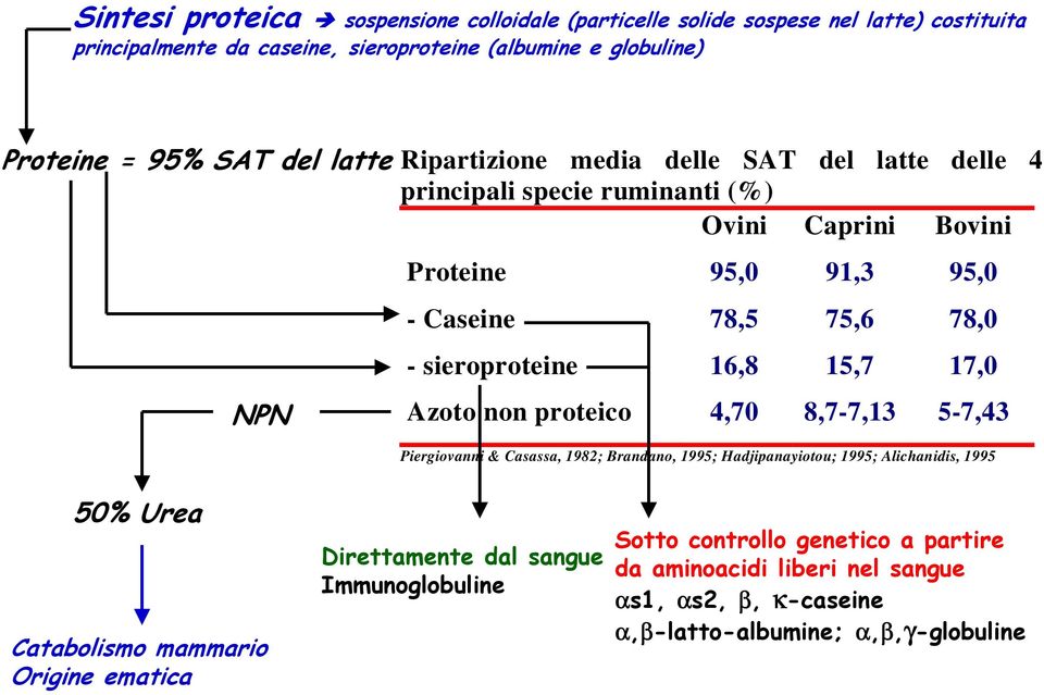 16,8 15,7 17,0 Azoto non proteico 4,70 8,7-7,13 5-7,43 Piergiovanni & Casassa, 1982; Brandano, 1995; Hadjipanayiotou; 1995; Alichanidis, 1995 50% Urea Catabolismo mammario