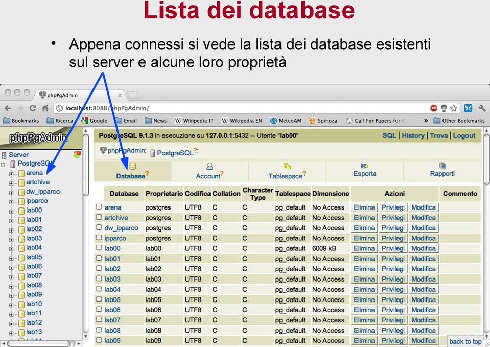 dei database esistenti sul