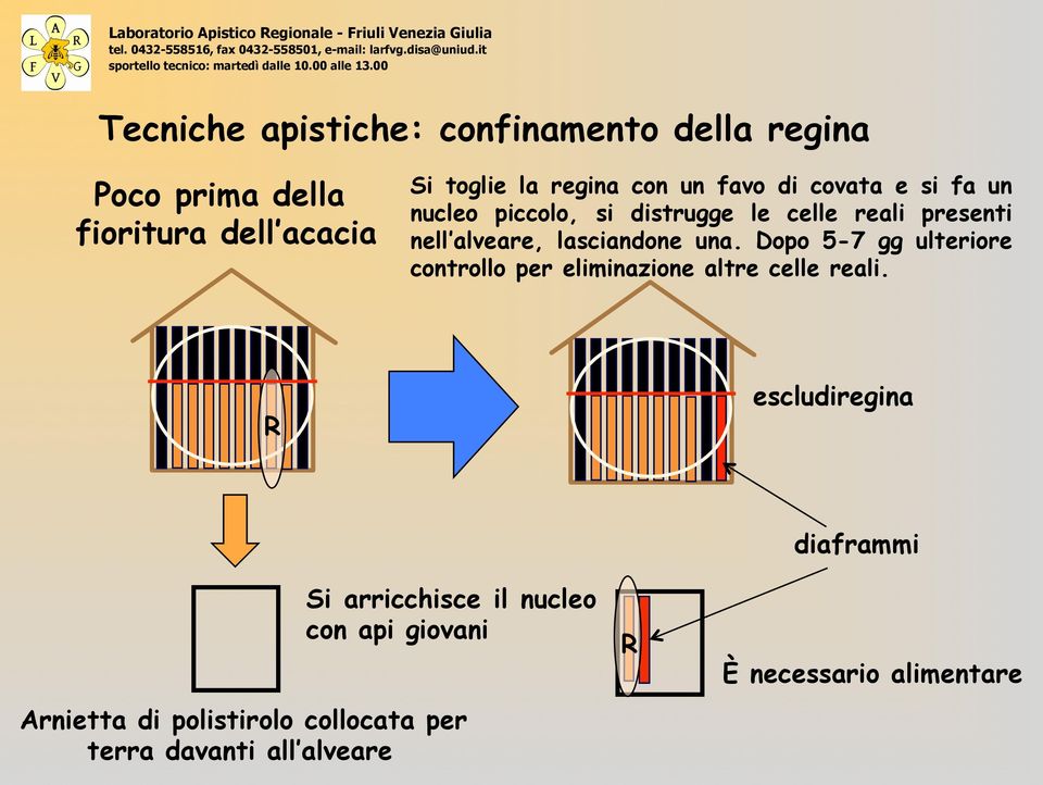 Dopo 5-7 gg ulteriore controllo per eliminazione altre celle reali.