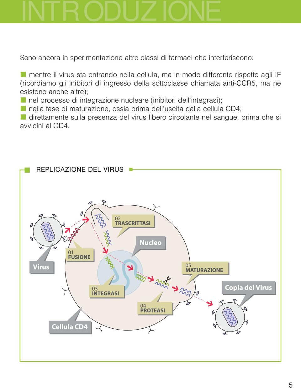 anche altre); nel processo di integrazione nucleare (inibitori dell integrasi); nella fase di maturazione, ossia prima dell uscita