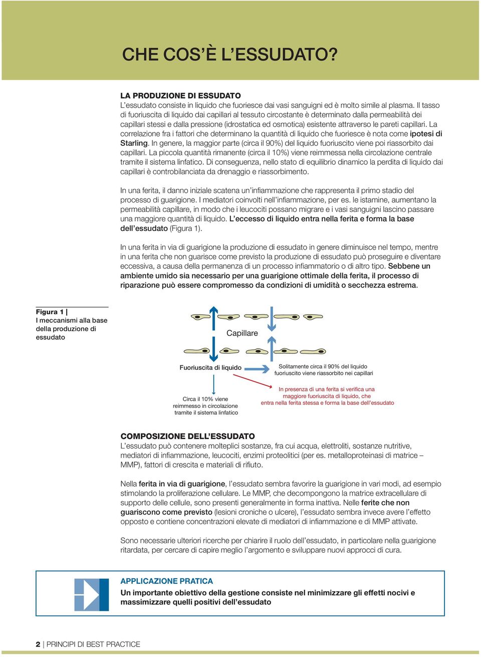 pareti capillari. La correlazione fra i fattori che determinano la quantità di liquido che fuoriesce è nota come ipotesi di Starling.