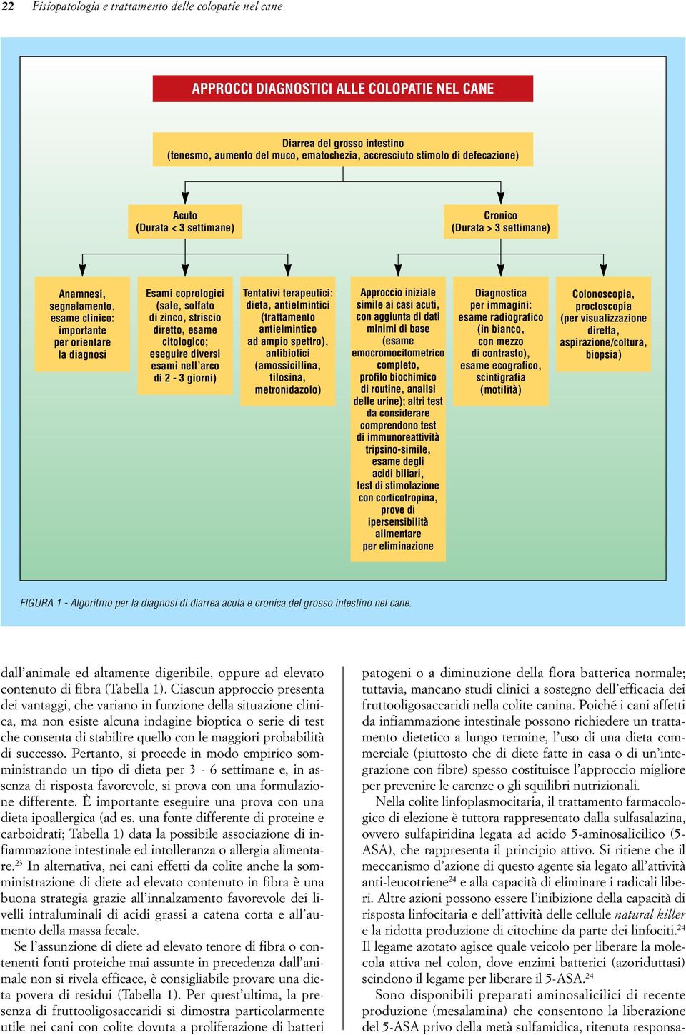 striscio diretto, esame citologico; eseguire diversi esami nell arco di 2-3 giorni) Tentativi terapeutici: dieta, antielmintici (trattamento antielmintico ad ampio spettro), antibiotici