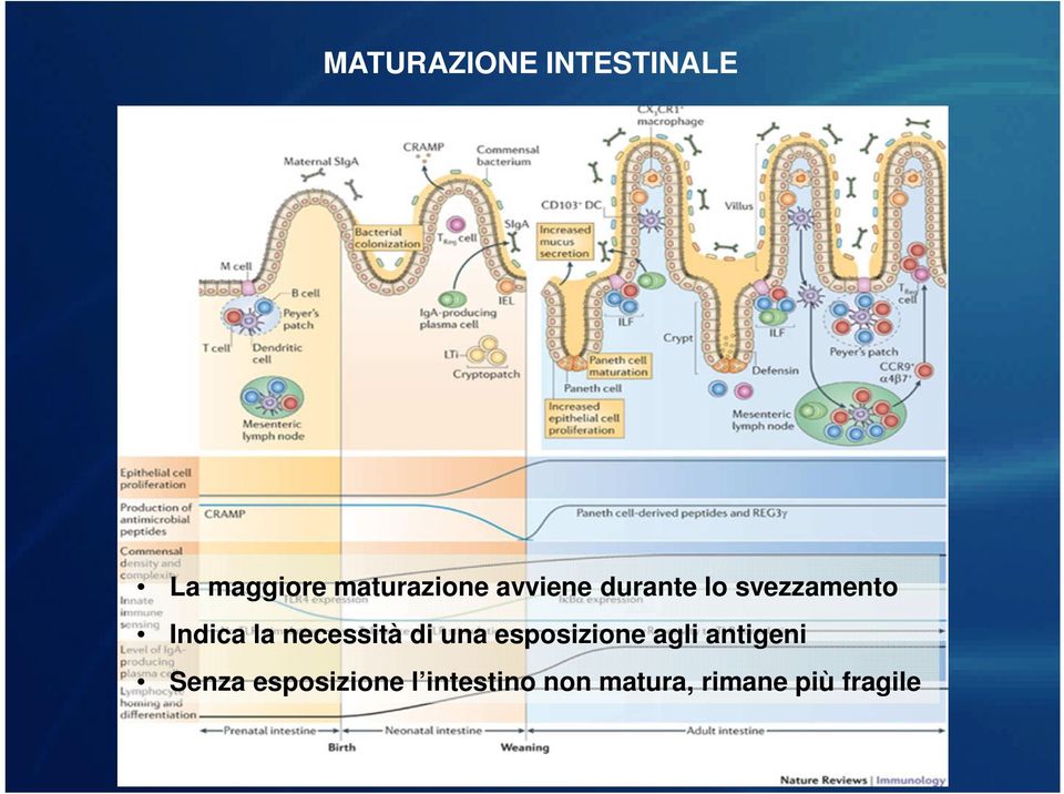 necessità di una esposizione agli antigeni