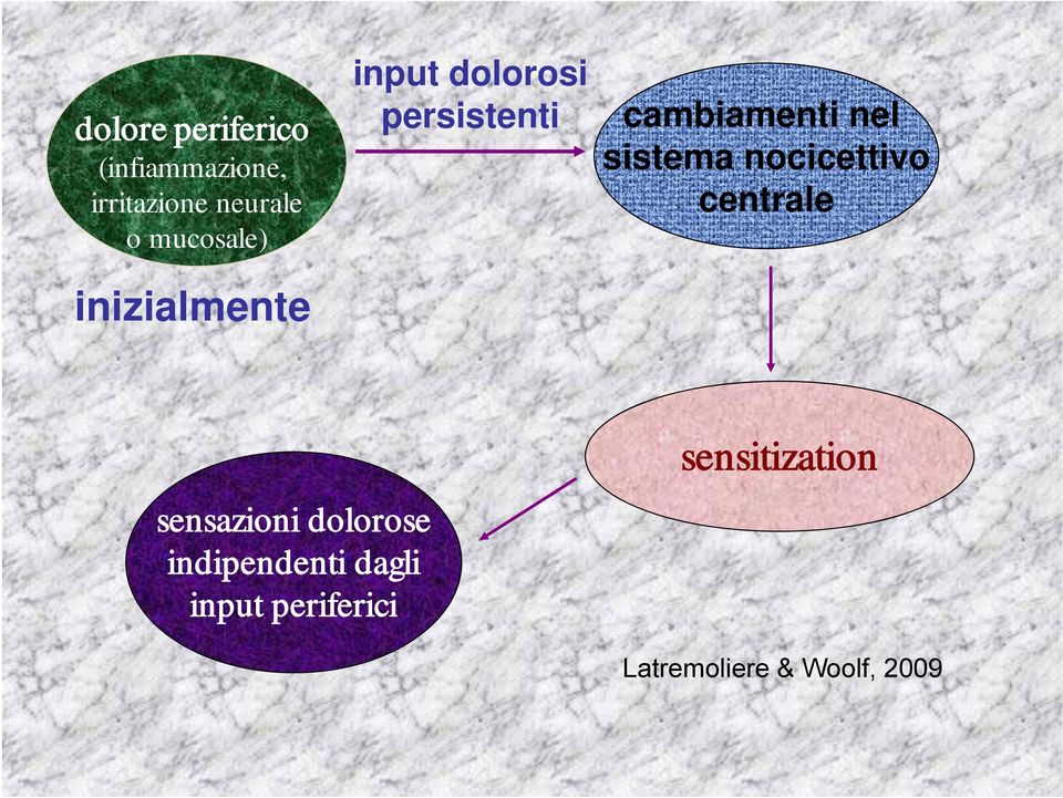 nel sistema nocicettivo centrale sensazioni dolorose