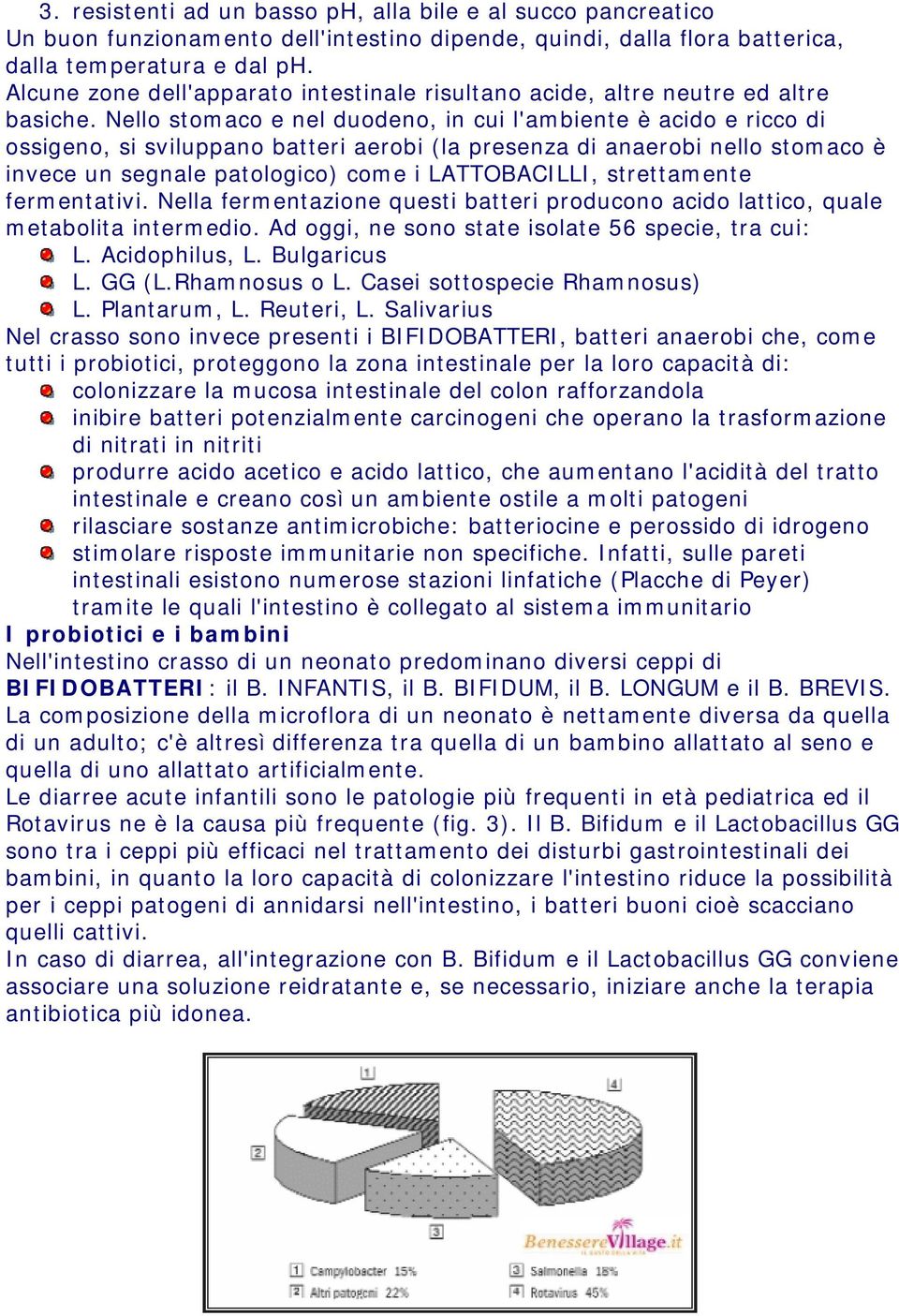 Nello stomaco e nel duodeno, in cui l'ambiente è acido e ricco di ossigeno, si sviluppano batteri aerobi (la presenza di anaerobi nello stomaco è invece un segnale patologico) come i LATTOBACILLI,