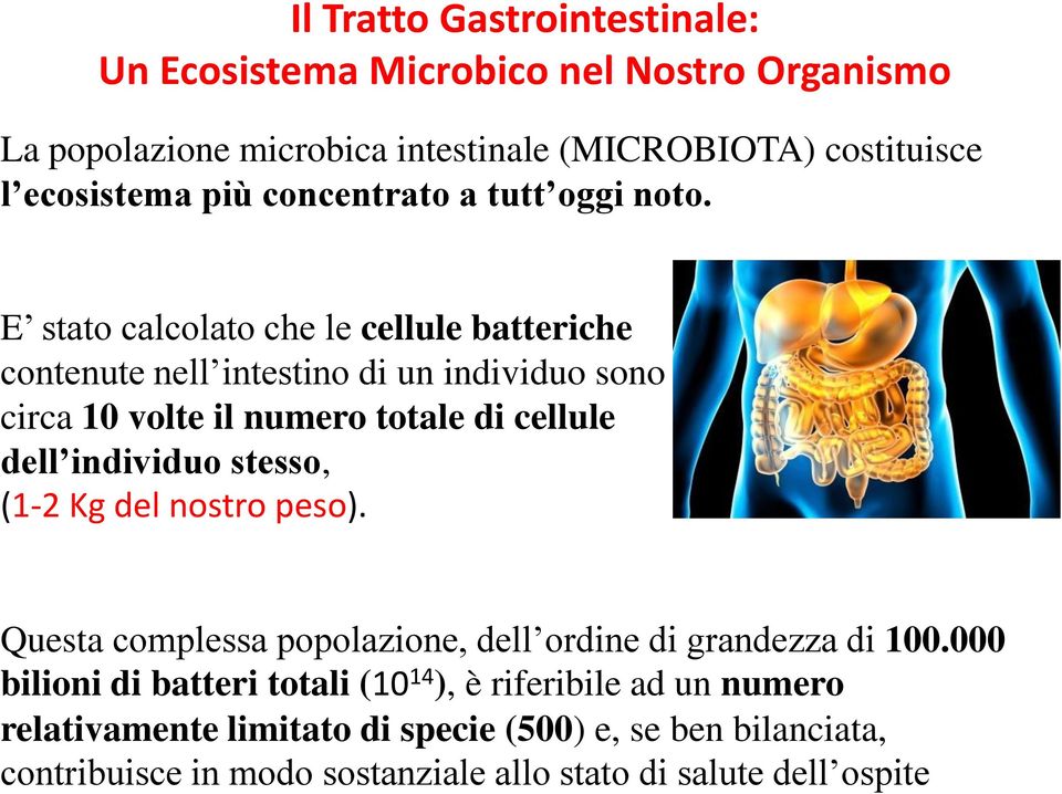 E stato calcolato che le cellule batteriche contenute nell intestino di un individuo sono circa 10 volte il numero totale di cellule dell individuo