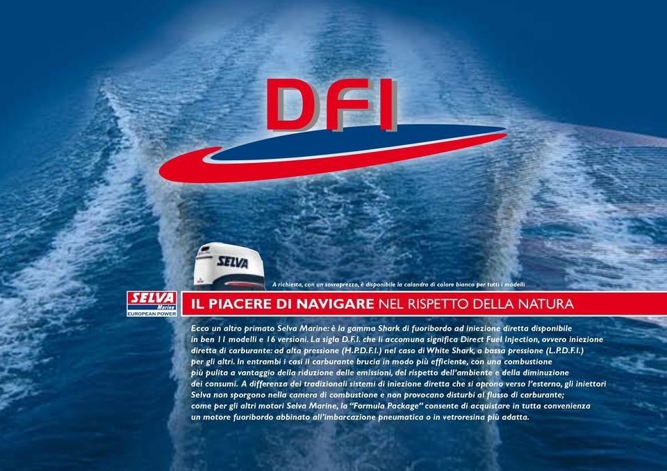 che li accomuna significa Direct Fuel Injection, ovvero iniezione diretta di carburante: ad alta pressione (H.P.D.F.I.) nel caso di White Shark, a bassa pressione (L.P.D.F.I.) per gli altri.