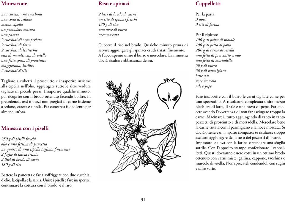 in piccoli pezzi. Insaporire qualche minuto, poi ricoprire con il brodo ottenuto facendo bollire, in precedenza, ossi o pezzi non pregiati di carne insieme a sedano, carota e cipolla.