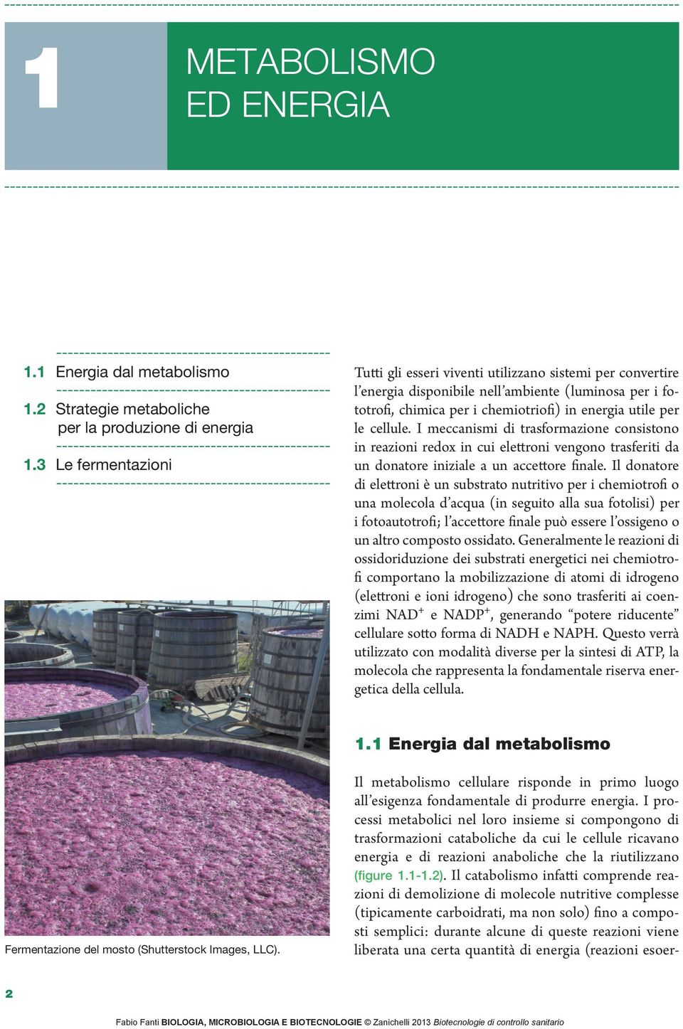 cellule. I meccanismi di trasformazione consistono in reazioni redox in cui elettroni vengono trasferiti da un donatore iniziale a un accettore finale.