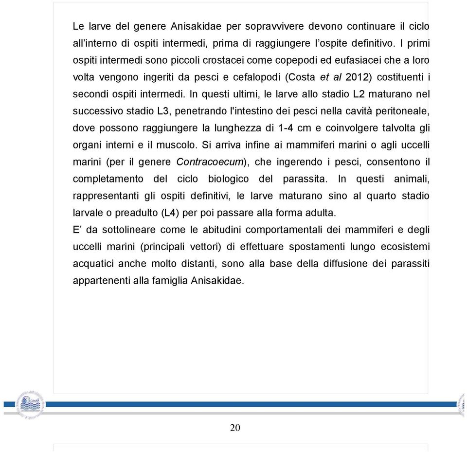 In questi ultimi, le larve allo stadio L2 maturano nel successivo stadio L3, penetrando l'intestino dei pesci nella cavità peritoneale, dove possono raggiungere la lunghezza di 1-4 cm e coinvolgere