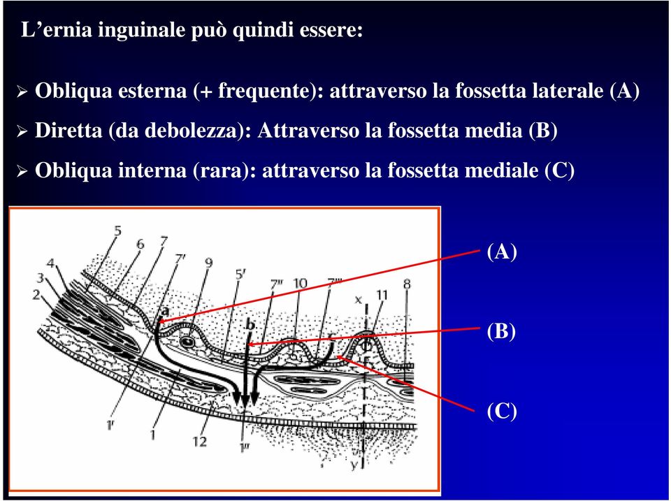 (da debolezza): Attraverso la fossetta media (B) Obliqua