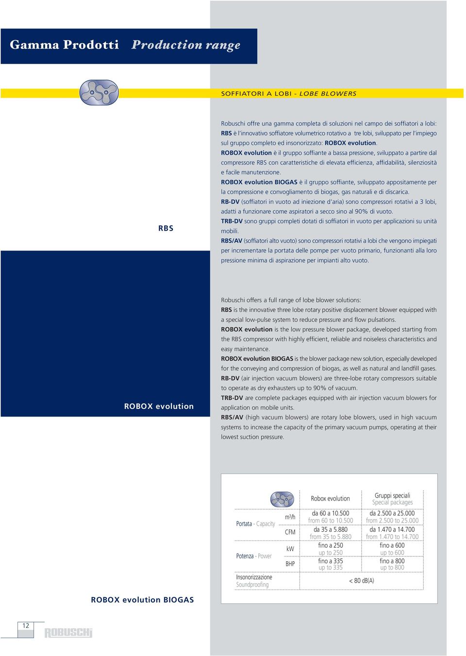 ROBOX evolution è il gruppo soffiante a bassa pressione, sviluppato a partire dal compressore RBS con caratteristiche di elevata efficienza, affidabilità, silenziosità e facile manutenzione.