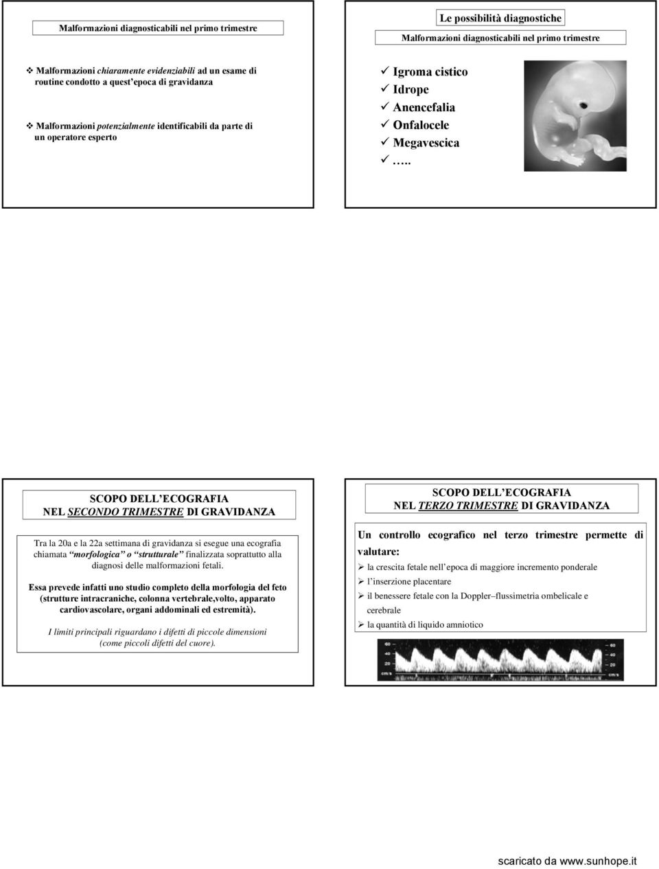 . SCOPO DELL ECOGRAFIA NEL SECONDO TRIMESTRE DI GRAVIDANZA Tra la 20a e la 22a settimana di gravidanza si esegue una ecografia chiamata morfologica o strutturale finalizzata soprattutto alla diagnosi