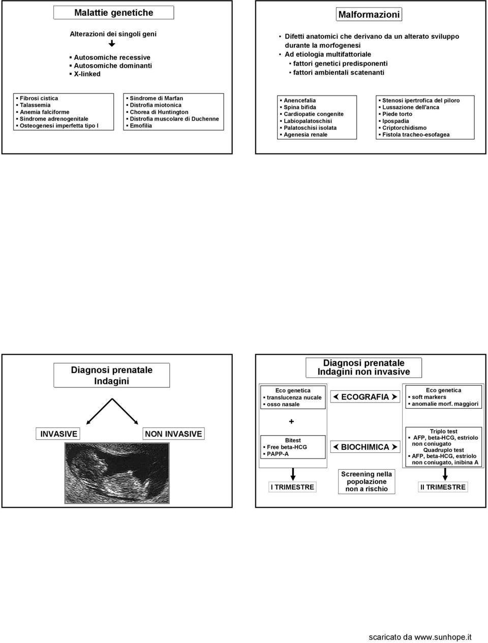 Marfan Distrofia miotonica Chorea di Huntington Distrofia muscolare di Duchenne Emofilia Anencefalia Spina bifida Cardiopatie congenite Labiopalatoschisi Palatoschisi isolata Agenesia renale Stenosi