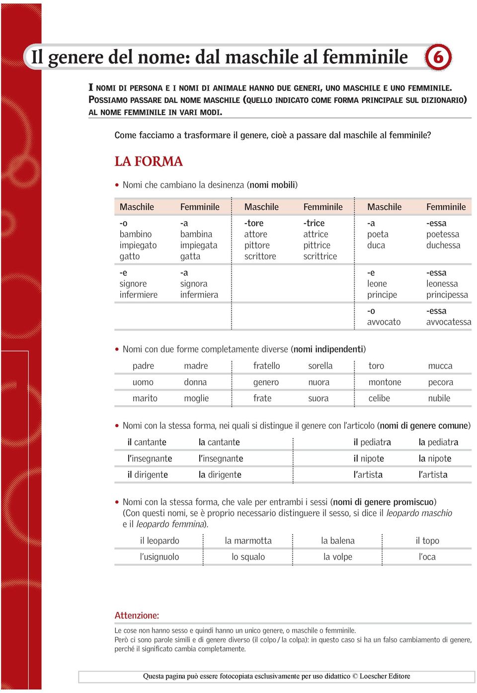 Come facciamo a trasformare il genere, cioè a passare dal maschile al femminile?