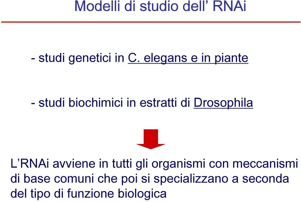 Drosophila L RNAi avviene in tutti gli organismi con