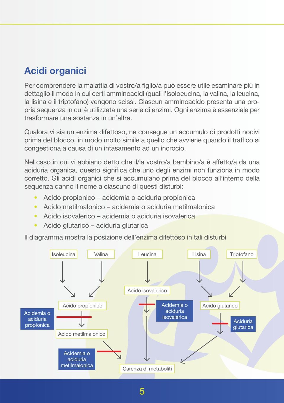 Qualora vi sia un enzima difettoso, ne consegue un accumulo di prodotti nocivi prima del blocco, in modo molto simile a quello che avviene quando il traffico si congestiona a causa di un intasamento