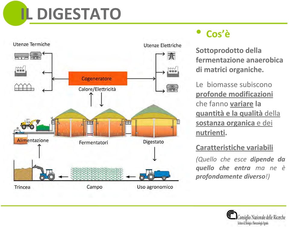 Le biomasse subiscono profonde modificazioni che fanno variarela quantitàe la