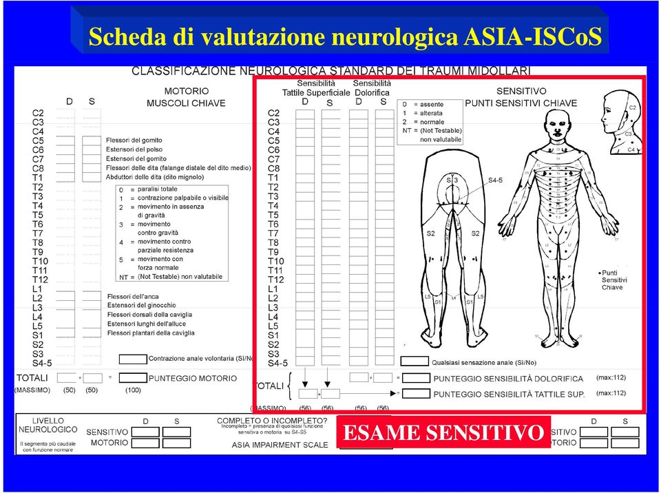 neurologica