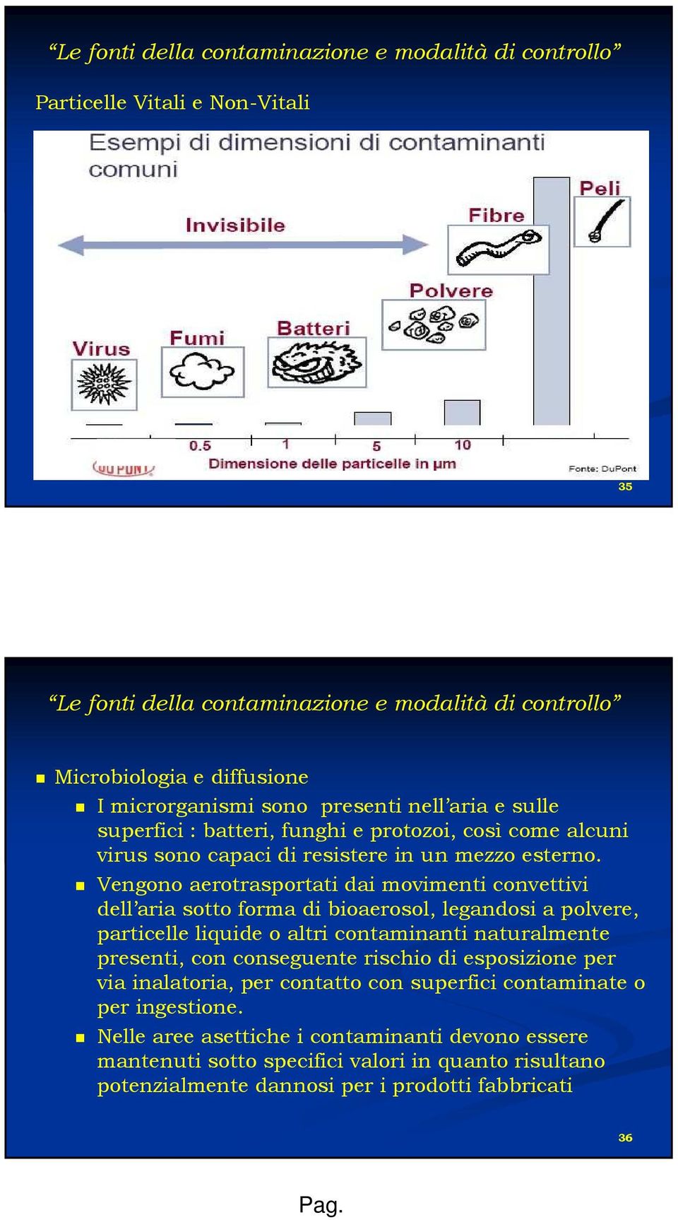 Vengono aerotrasportati dai movimenti convettivi dell aria sotto forma di bioaerosol, legandosi a polvere, particelle liquide o altri contaminanti naturalmente presenti, con conseguente