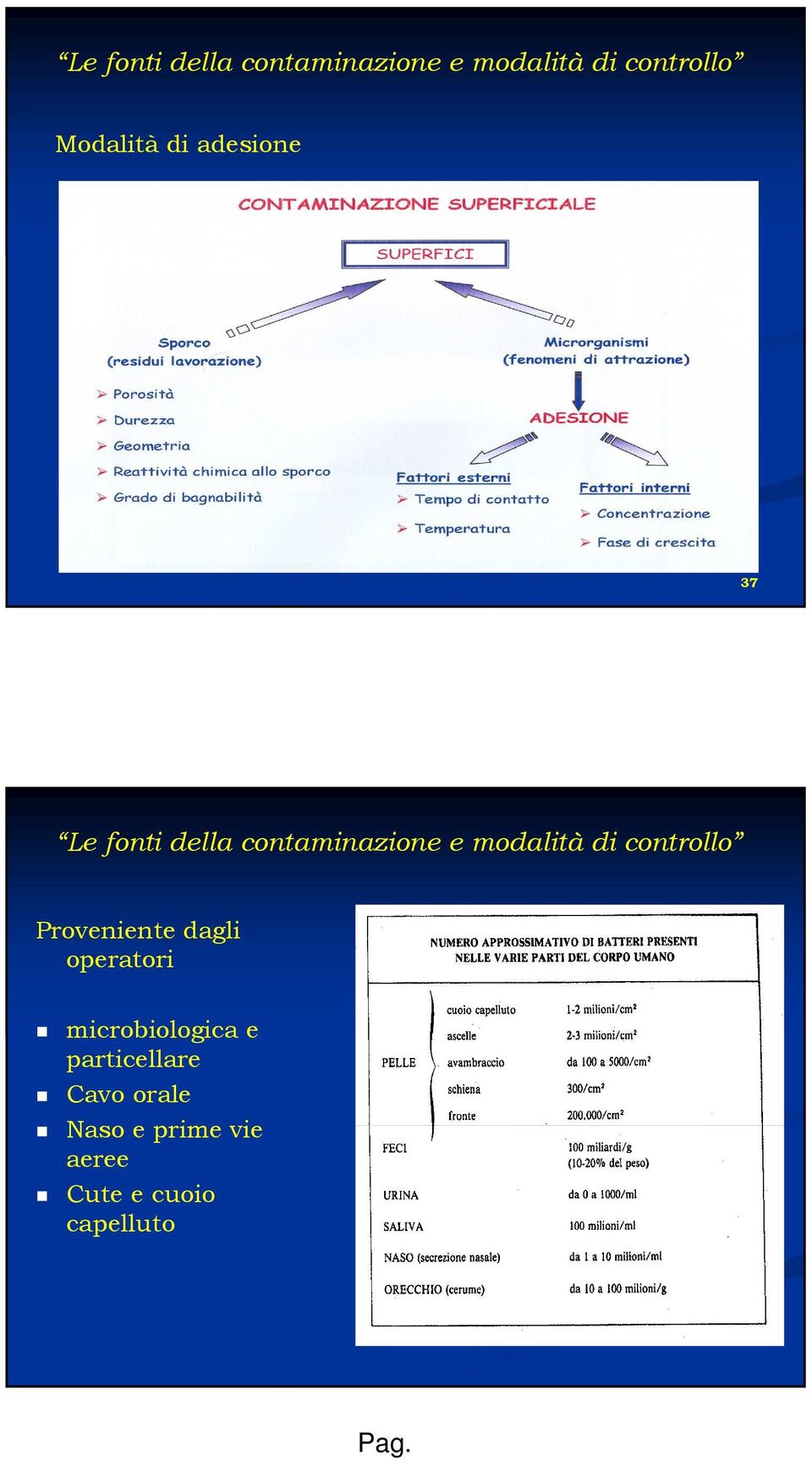 microbiologica e particellare Cavo orale Naso e prime vie