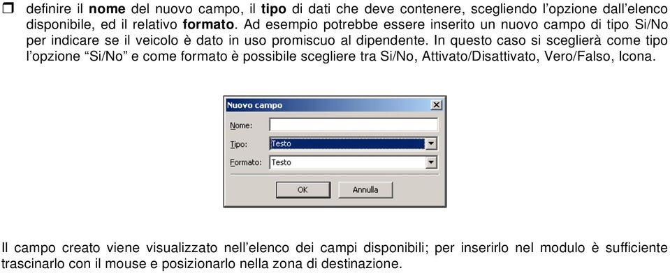 In questo caso si sceglierà come tipo l opzione Si/No e come formato è possibile scegliere tra Si/No, Attivato/Disattivato, Vero/Falso, Icona.