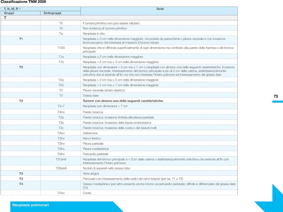 dimensione ma confinato alla parete della trachea o del bronco principale T1a Neoplasia 2 cm nella dimensione maggiore T1b Neoplasia > 2 cm ma 3 cm nella dimensione maggiore Neoplasia con dimensioni