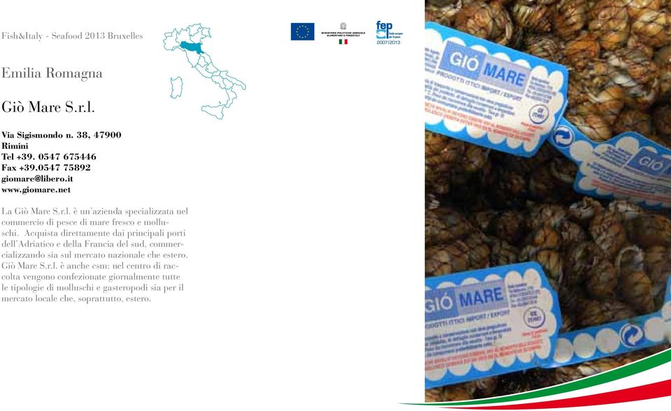 Acquista direttamente dai principali porti dell Adriatico e della Francia del sud, commercializzando sia sul mercato nazionale che estero.