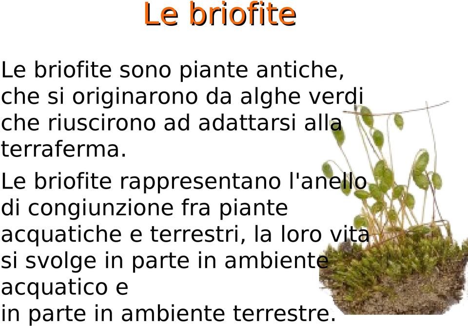 Le briofite rappresentano l'anello di congiunzione fra piante acquatiche e