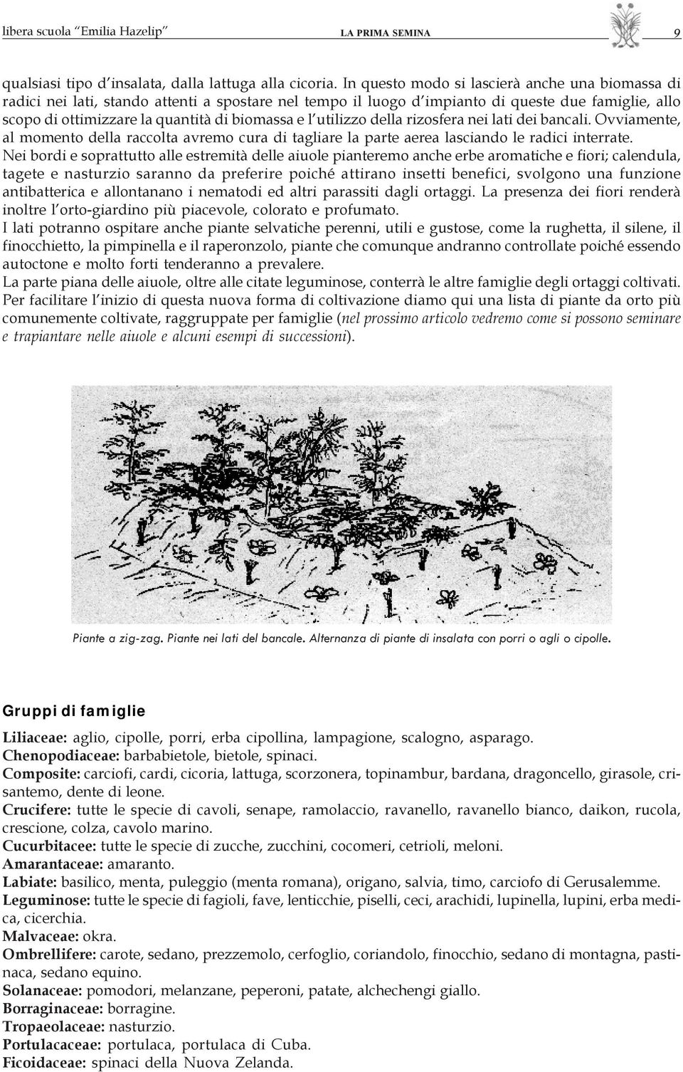 utilizzo della rizosfera nei lati dei bancali. Ovviamente, al momento della raccolta avremo cura di tagliare la parte aerea lasciando le radici interrate.