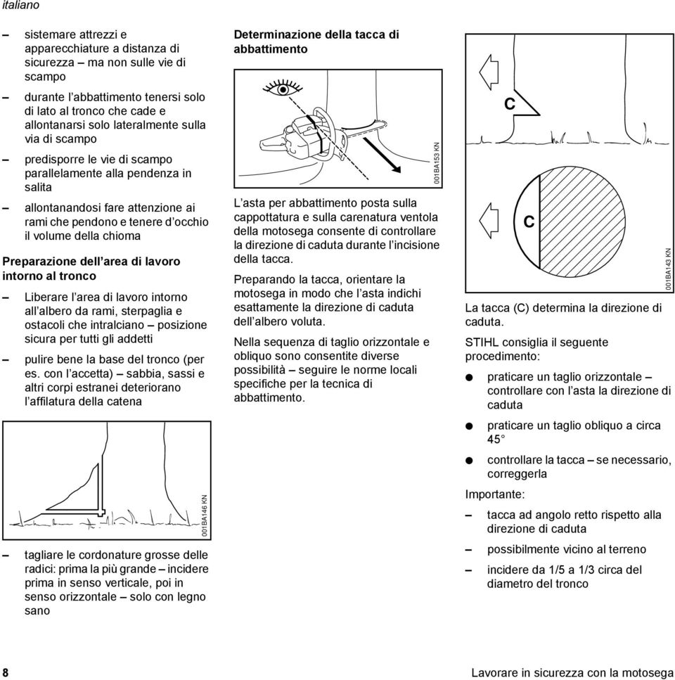 intorno al tronco Liberare l area di lavoro intorno all albero da rami, sterpaglia e ostacoli che intralciano posizione sicura per tutti gli addetti pulire bene la base del tronco (per es.