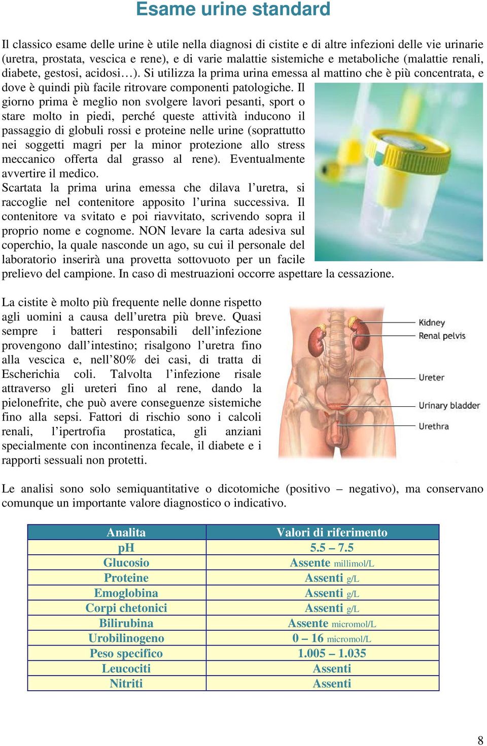 Il giorno prima è meglio non svolgere lavori pesanti, sport o stare molto in piedi, perché queste attività inducono il passaggio di globuli rossi e proteine nelle urine (soprattutto nei soggetti