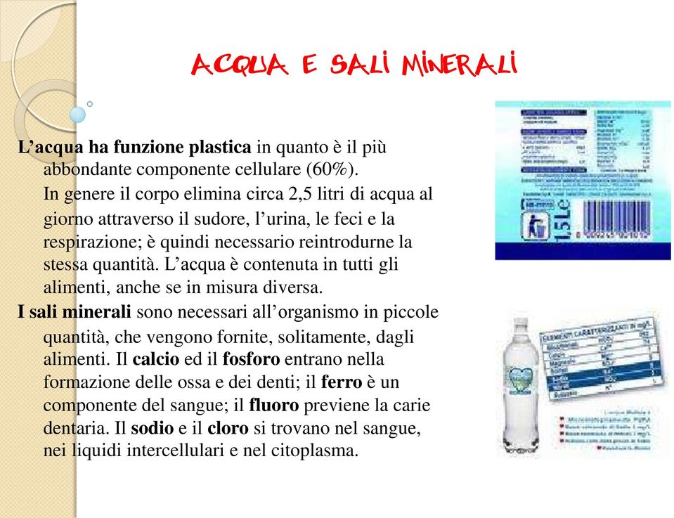 L acqua è contenuta in tutti gli alimenti, anche se in misura diversa.