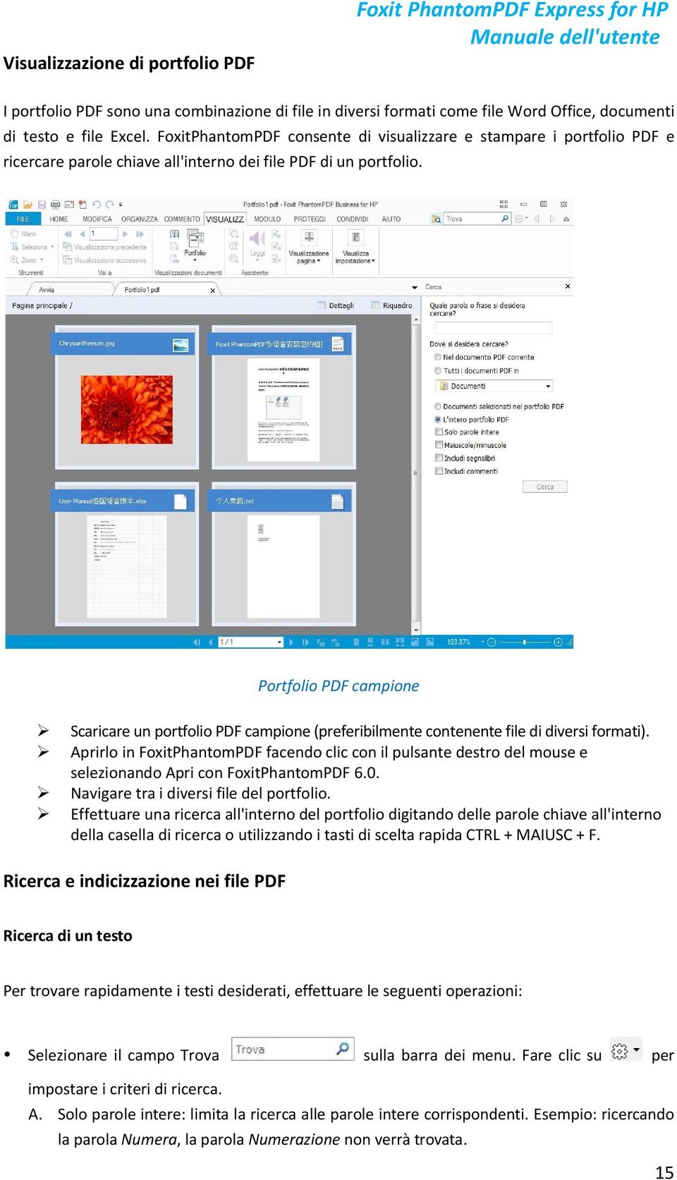 Portfolio PDF campione Scaricare un portfolio PDF campione (preferibilmente contenente file di diversi formati).