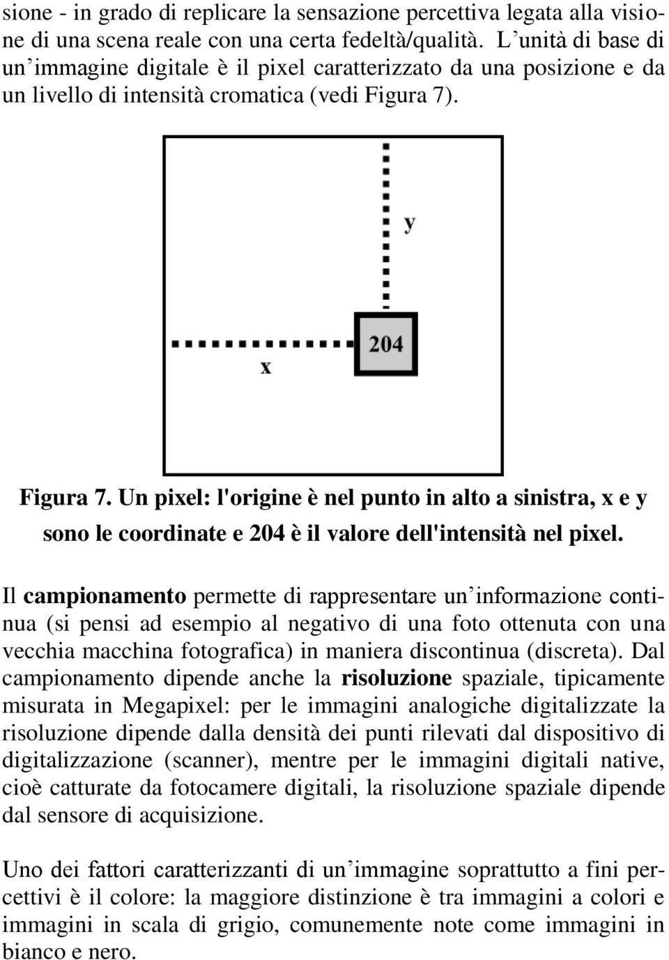 . Figura 7. Un pixel: l'origine è nel punto in alto a sinistra, x e y sono le coordinate e 204 è il valore dell'intensità nel pixel.