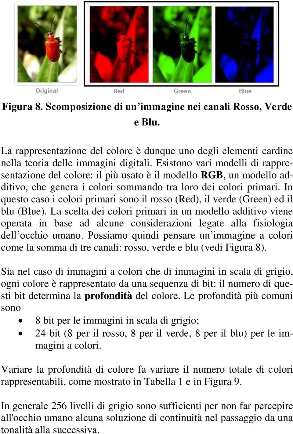 In questo caso i colori primari sono il rosso (Red), il verde (Green) ed il blu (Blue).