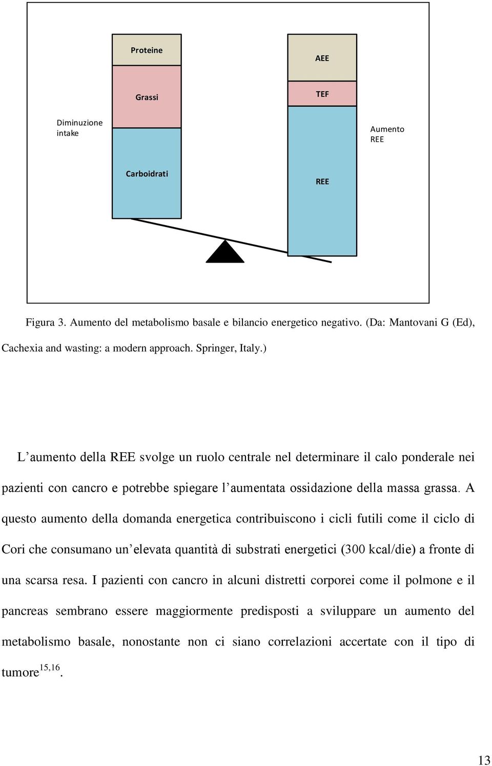 ) L aumento della REE svolge un ruolo centrale nel determinare il calo ponderale nei pazienti con cancro e potrebbe spiegare l aumentata ossidazione della massa grassa.