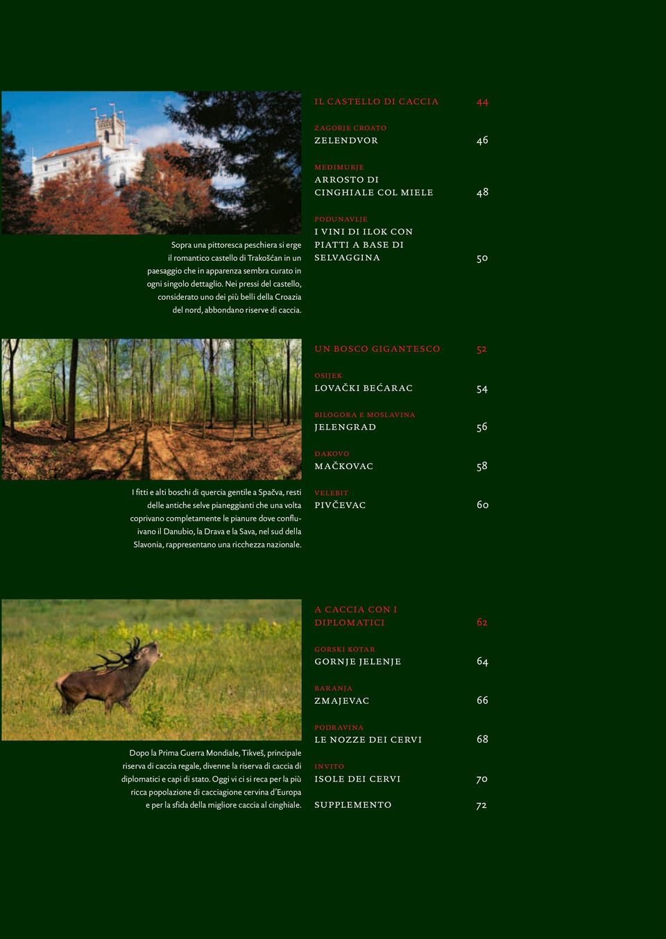 foreste vergini alle alture montuose, dalle colline adibite alla coltivazione alle radure prative, dai bassopiani dei fiumi alle aree paludose.