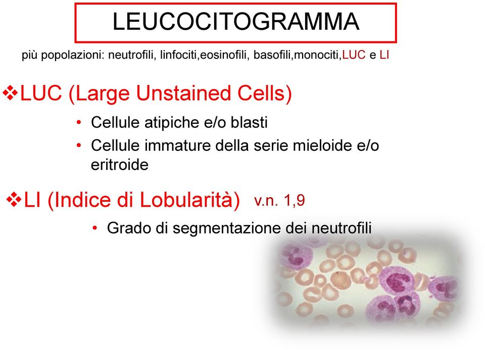 atipiche e/o blasti Cellule immature della serie mieloide e/o