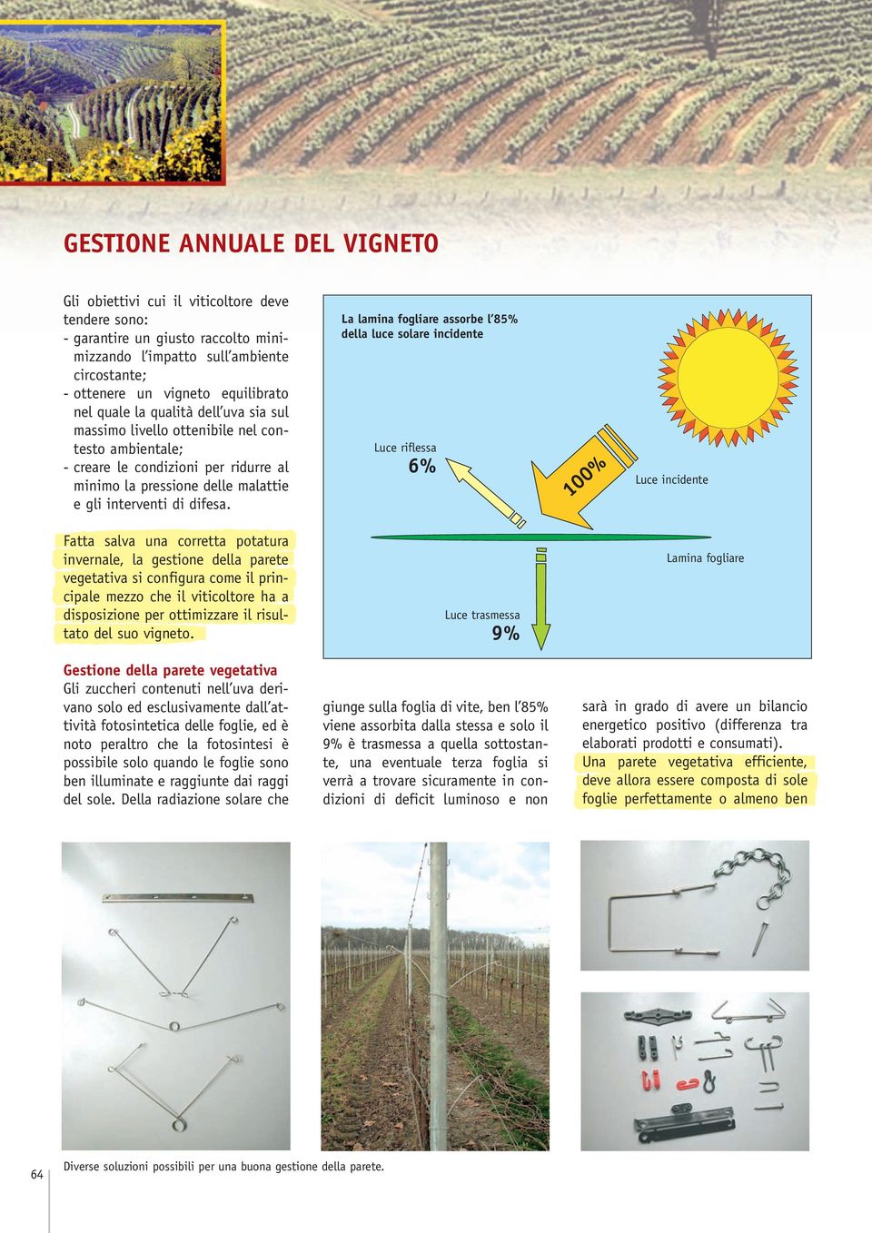 La lamina fogliare assorbe l 85% della luce solare incidente Luce riflessa 6% 100% Luce incidente Fatta salva una corretta potatura invernale, la gestione della parete vegetativa si configura come il