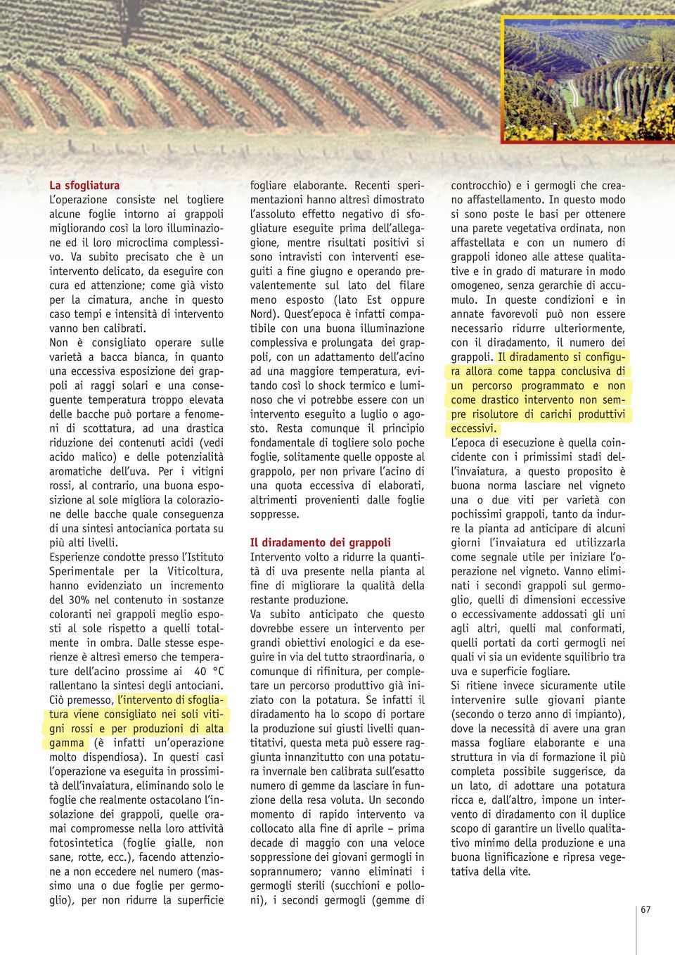 Non è consigliato operare sulle varietà a bacca bianca, in quanto una eccessiva esposizione dei grappoli ai raggi solari e una conseguente temperatura troppo elevata delle bacche può portare a