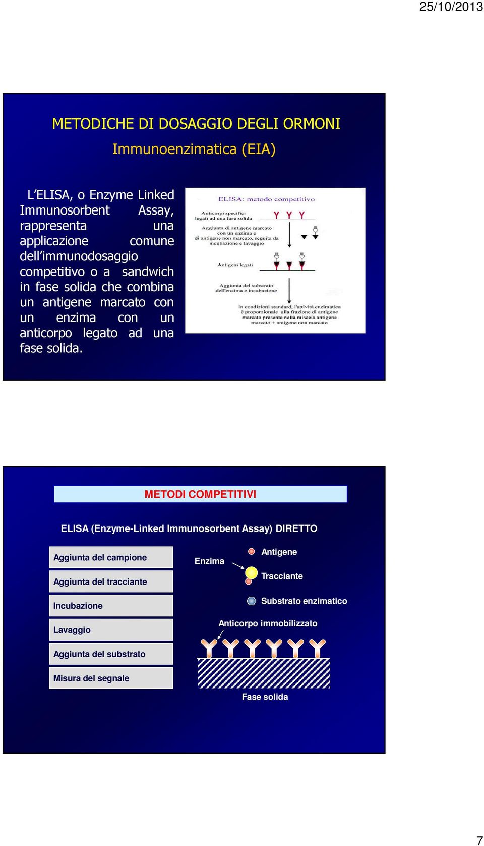 METODI COMPETITIVI ELISA (Enzyme-Linked Immunosorbent Assay) DIRETTO Aggiunta del campione Aggiunta del tracciante Incubazione