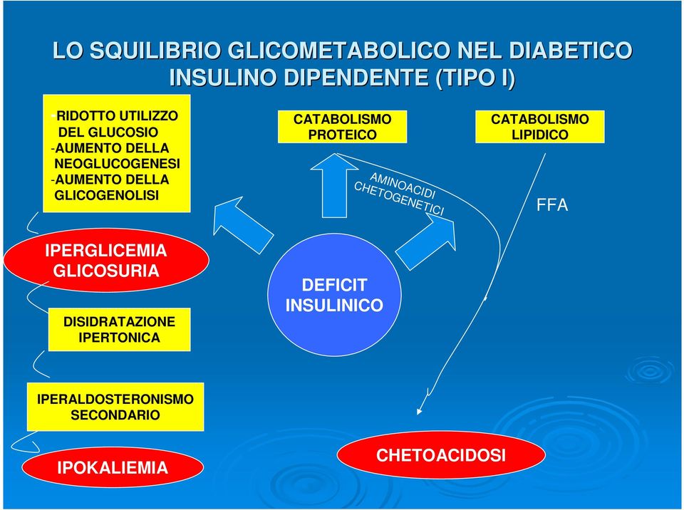 CATABOLISMO PROTEICO AMINOACIDI CHETOGENETICI CATABOLISMO LIPIDICO FFA IPERGLICEMIA